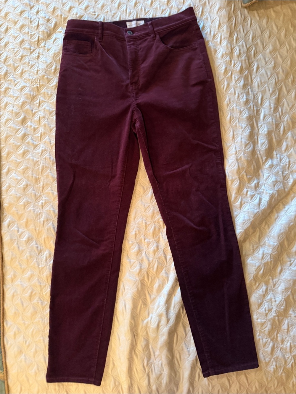 LOFT Women's Straight Leg Pants in Deep Burgundy